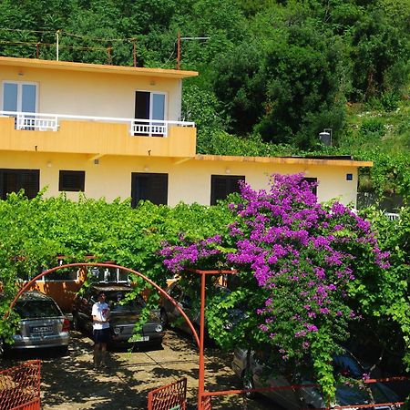 Villa Elvira Gradac  Εξωτερικό φωτογραφία
